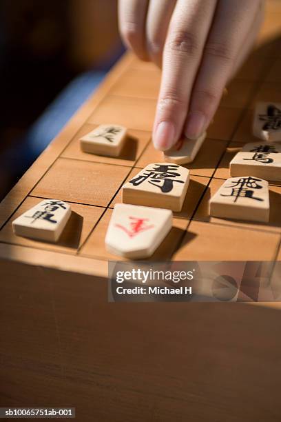 Jogo De Xadrez Japonês (Shogi) Imagem de Stock - Imagem de soldado,  inteligente: 13482469