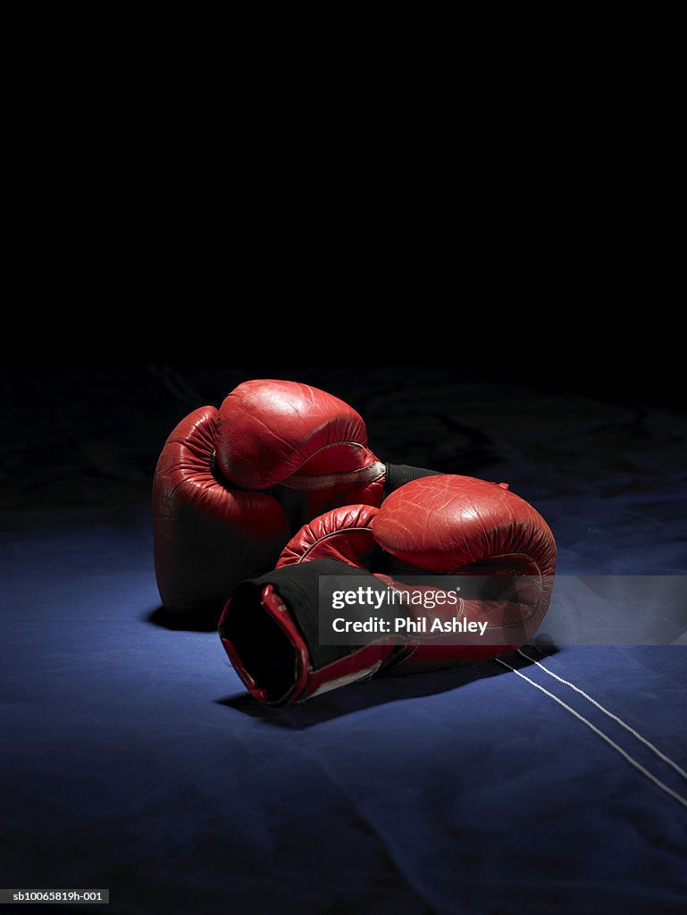 Umělecká fotografie Red boxing gloves