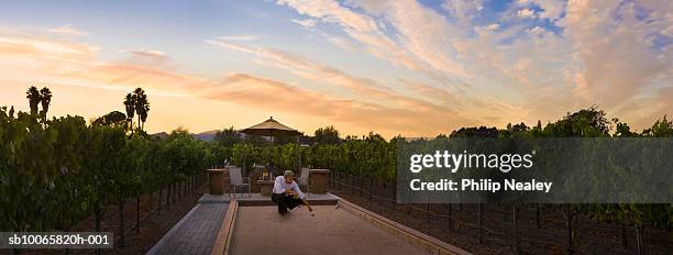 man playing bocce ball in vineyard - bocce ball stock pictures, royalty-free photos & images