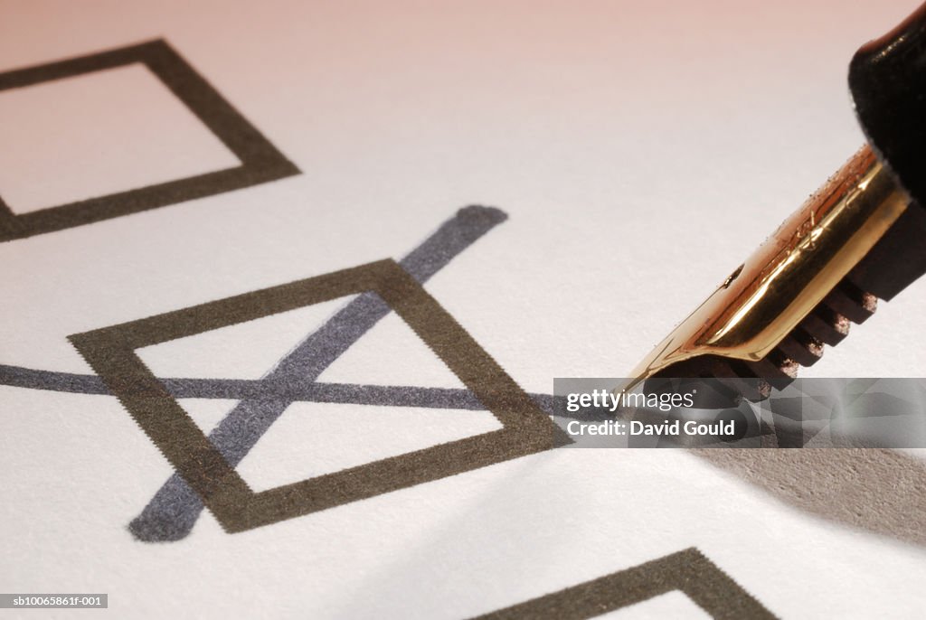 Fountain pen marking checkbox, close-up