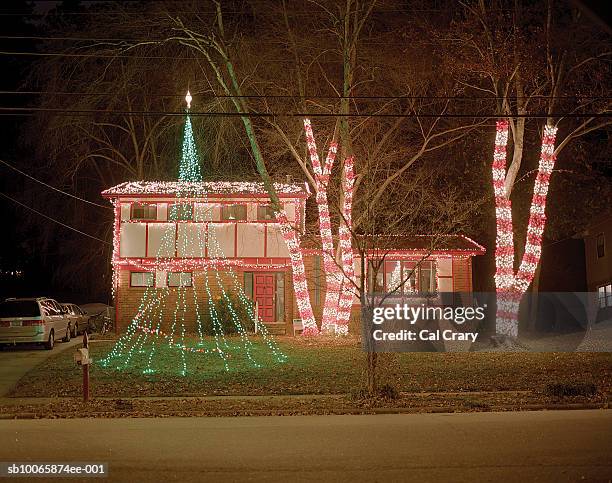 house and trees wrapped with christmas lights - decorated christmas trees outside stockfoto's en -beelden