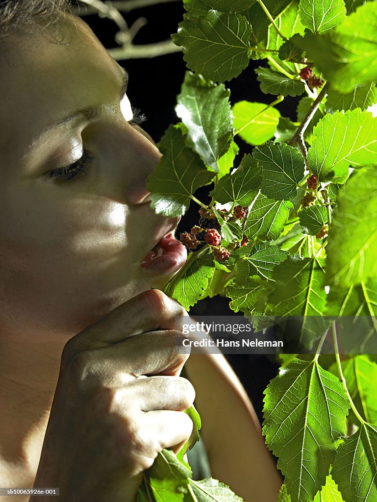Teenage girl (16-17) eating berries from tree, close-up