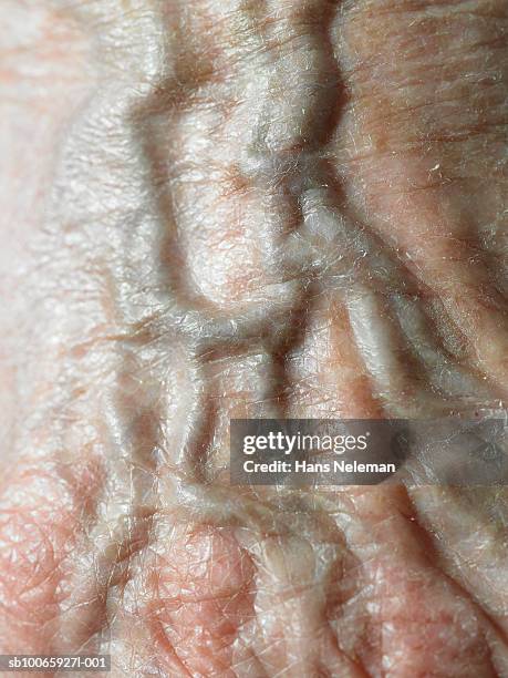vein of human hand, close-up - veia imagens e fotografias de stock