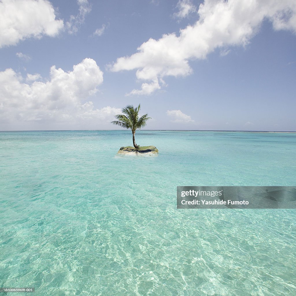 Saipan, Small island with palm tree in sea