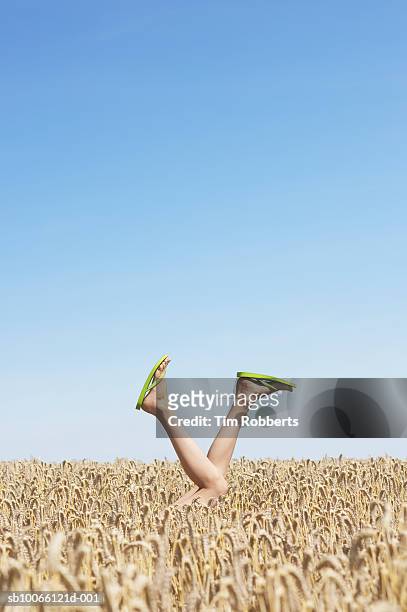 person in field wearing flip-flops upside down, low section (differential focus) - piernas en el aire fotografías e imágenes de stock
