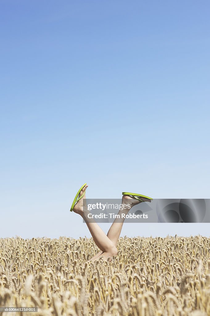 Person in field wearing flip-flops upside down, low section (differential focus)