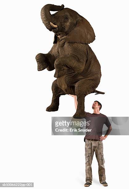 man holding elephant (digital composite) - digital composite ストックフォトと画像