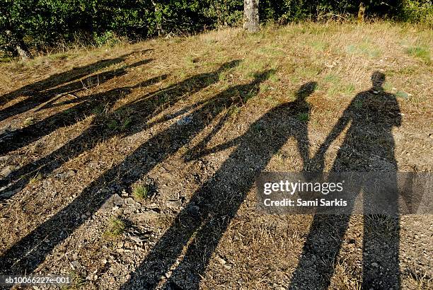 shadows of family holding hands, elevated view - family with five children stock pictures, royalty-free photos & images