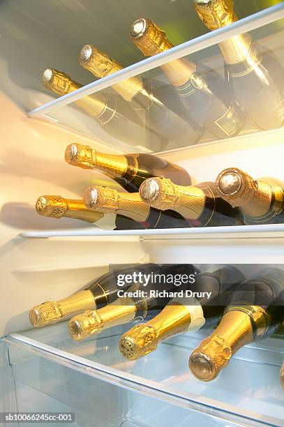 refrigerator full of champagne bottles - beverage fridge stock pictures, royalty-free photos & images