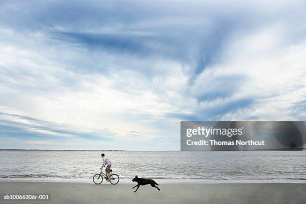 dog chasing after boy (14-15) riding bike along beach, side view - middlebare afstand stockfoto's en -beelden