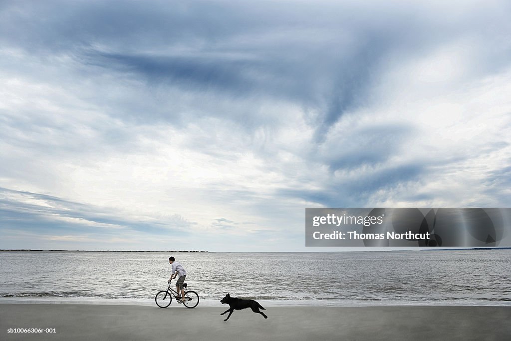 Dog chasing after boy (14-15) riding bike along beach, side view