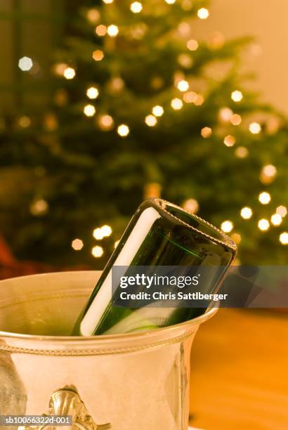 empty bottle of champagne in cooler with christmas tree in background - upside down stock pictures, royalty-free photos & images