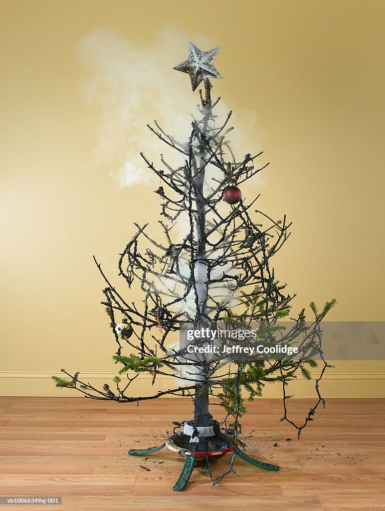 Burnt Christmas tree with smoke