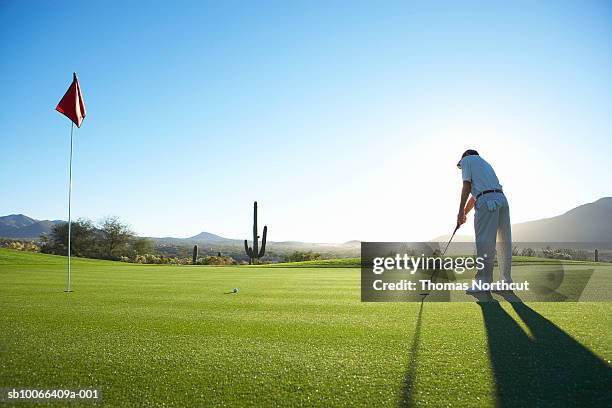 male golfer putting on golf course - golf flag stock pictures, royalty-free photos & images