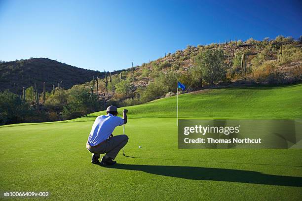 male golfer lining up putt on golf course - green golf course fotografías e imágenes de stock