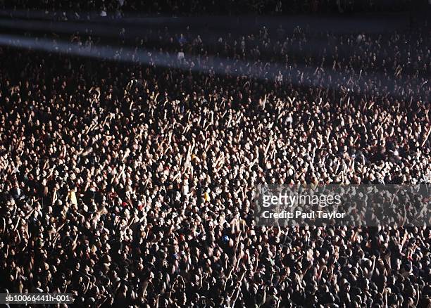 crowd at concert, elevated view (full frame) - cheering crowd stockfoto's en -beelden