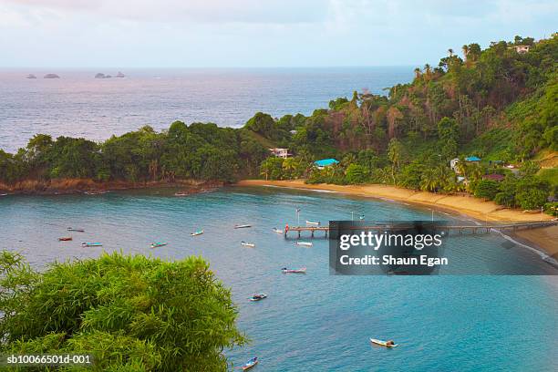 caribbean, west indies, tobago, elevated view of parlatuvier bay - trinité et tobago photos et images de collection