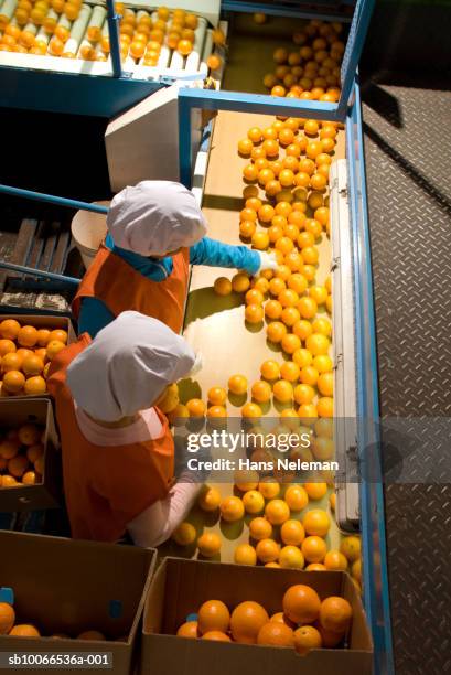 Oranges Processed 224 Food Processing Oranges Stock Photos, High-Res Pictures, and Images ...