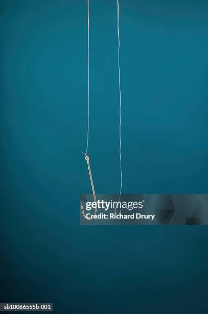 Dangling Fish From Ciling 620 Dangling Fish Hooks Stock Photos, High-Res Pictures, and Images ...