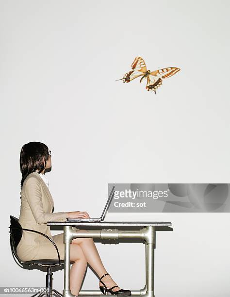 businesswoman sitting with laptop looking at flying butterfly, side view - fly insect stock pictures, royalty-free photos & images