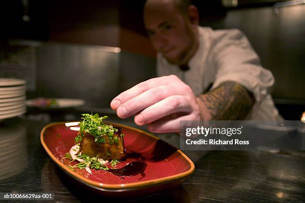 cook putting finishing touches on dish, close-up of hand - accompagnement professionnel photos et images de collection