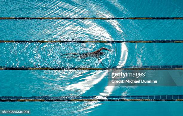 swimmer swimming in pool, elevated view - length stock pictures, royalty-free photos & images