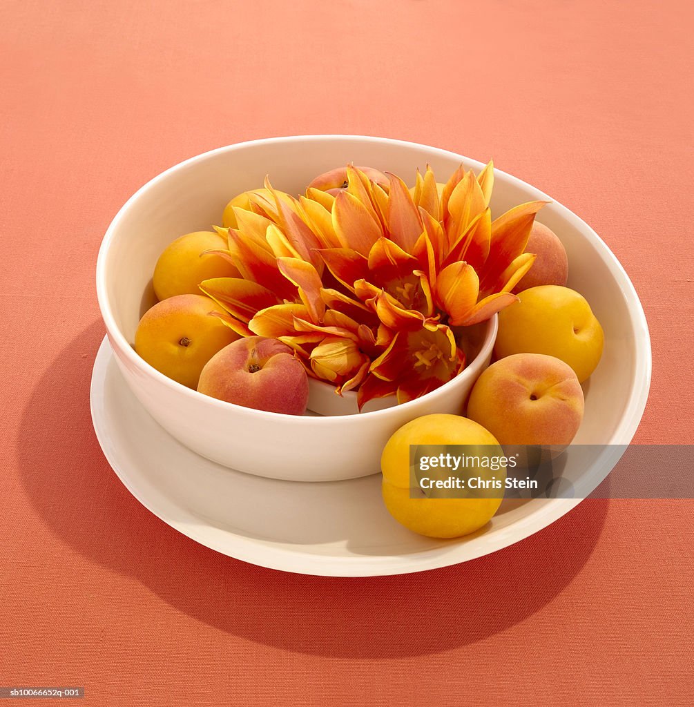 Peaches And Exotic Flower In Modern Fruit Bowl High-Res Stock