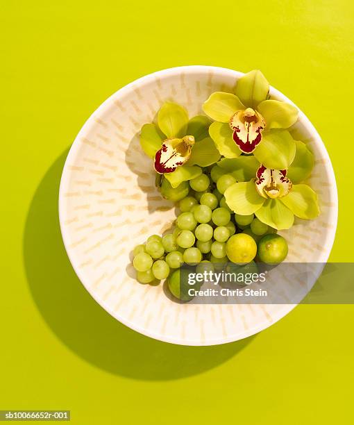 hydrangea flowers in fruit bowl with white grapes and lime - white grape ストックフォトと画像