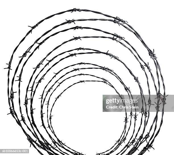 coiled barbed wire on white background - fil barbelé photos et images de collection