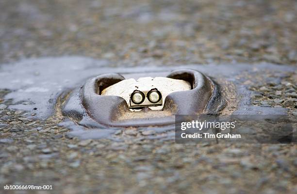 cat's eye on b road, cotswolds, uk - reflector stock pictures, royalty-free photos & images