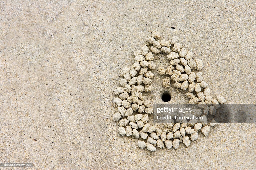 Sand Bubbler Crab Burrow, Australia