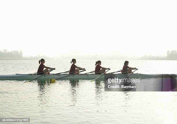 silhouette of four females rowing, side view - teamwork rowing stock pictures, royalty-free photos & images