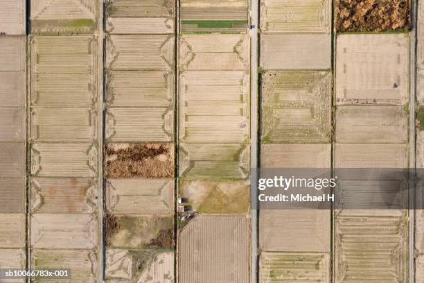 Field, aerial view