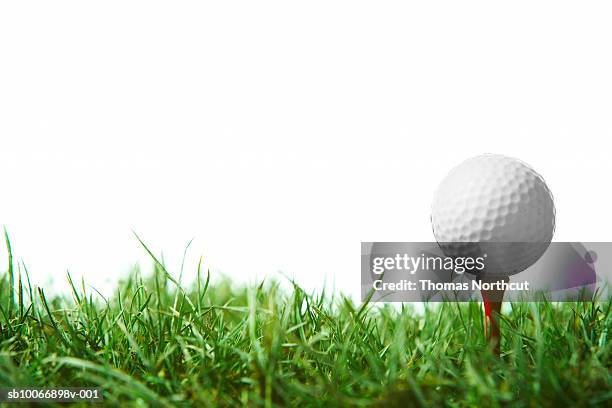 golfball en t - tee sports equipment fotografías e imágenes de stock