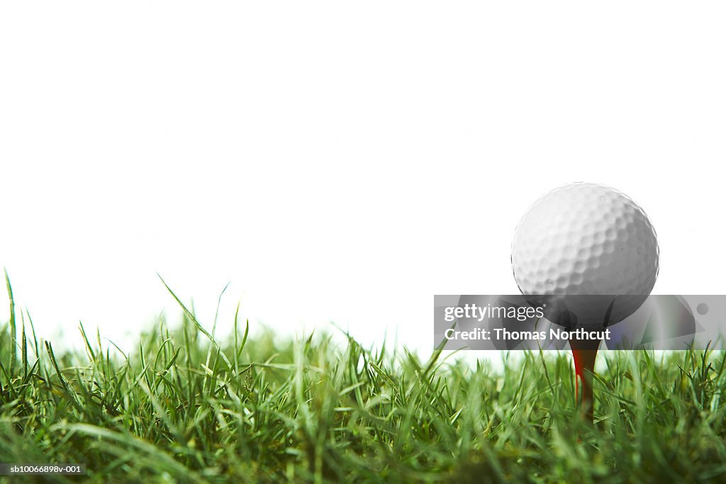 Golfball on tee
