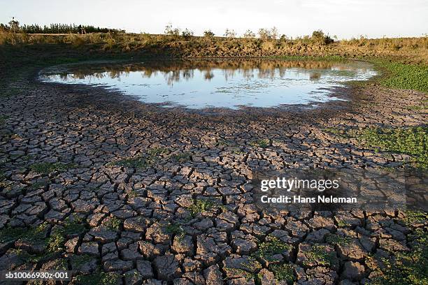 uruguay, dried up lake bed - uruguai imagens e fotografias de stock