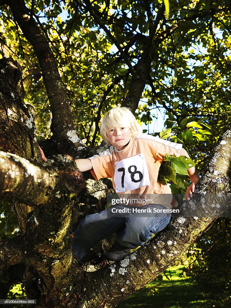 Boy (8-9) sitting on tree