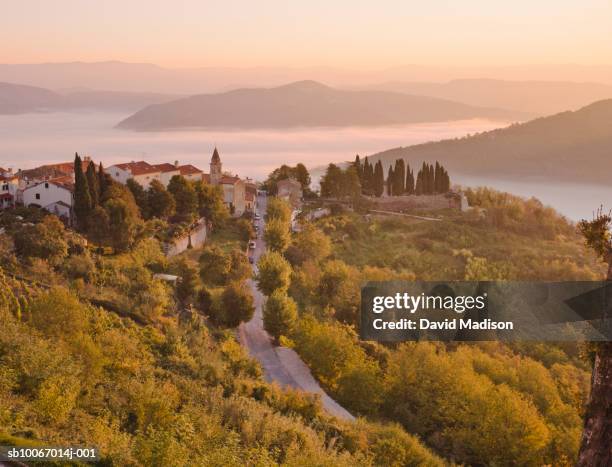 croatia, istria, motovun, hilltop town at mist - istria foto e immagini stock