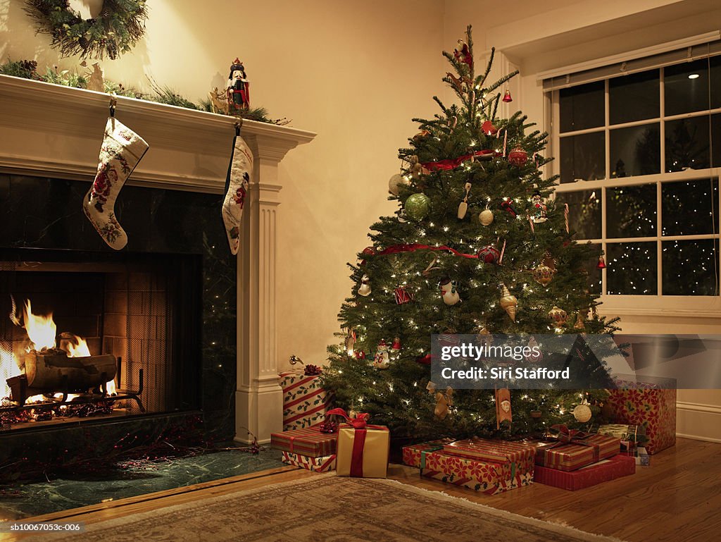 Christmas tree in living room