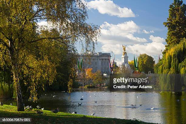 united kingdom, england, london, st james park and buckingham palace - buckingham palace stock pictures, royalty-free photos & images