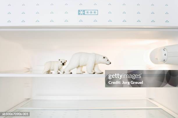 toy polar bears in freezer - bear on white stockfoto's en -beelden