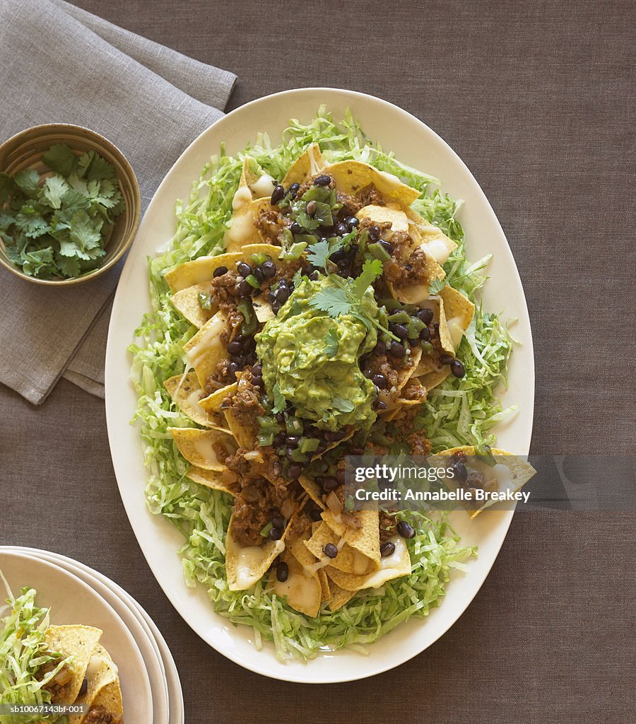 Plate of nachos, elevated view