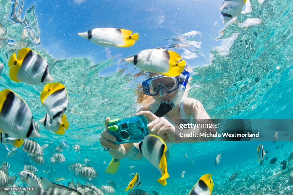 French Polynesia, Bora Bora, Woman taking underwater pictures of colorful reef fish