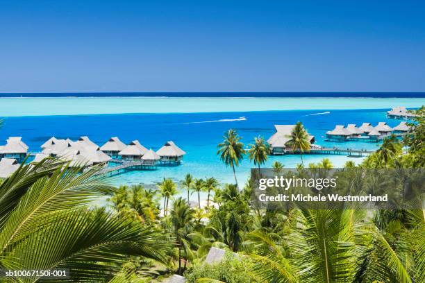 french polynesia, beach resorts in bora bora - french polynesia stockfoto's en -beelden