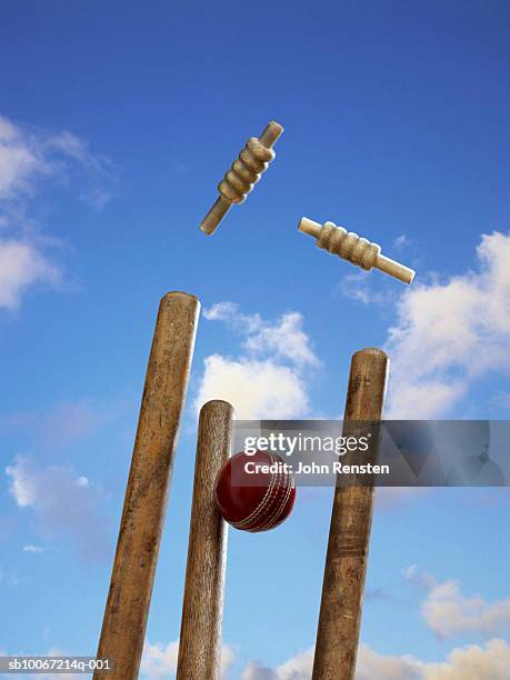 cricket ball hitting stump - cricketpinne bildbanksfoton och bilder