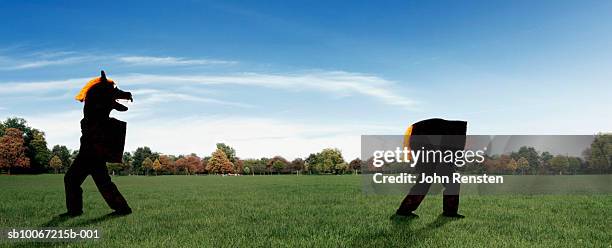 two people wearing pantomime horse costume - separation stock pictures, royalty-free photos & images