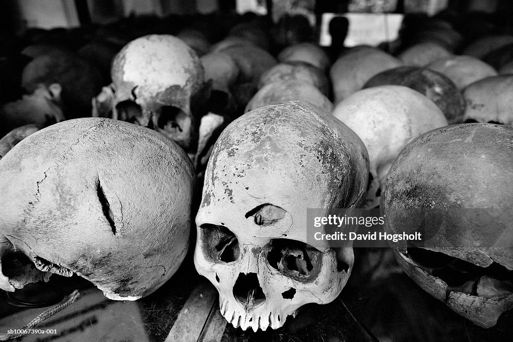 Large group of human skulls