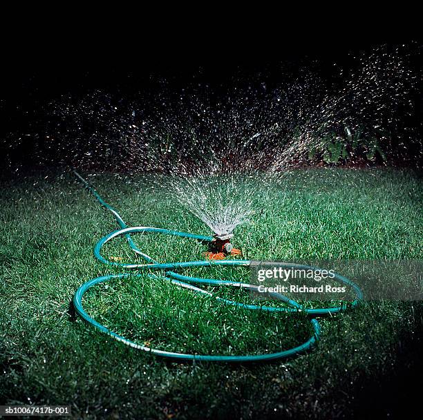 sprinkler spitting water on lawn at night - garden hose stock pictures, royalty-free photos & images