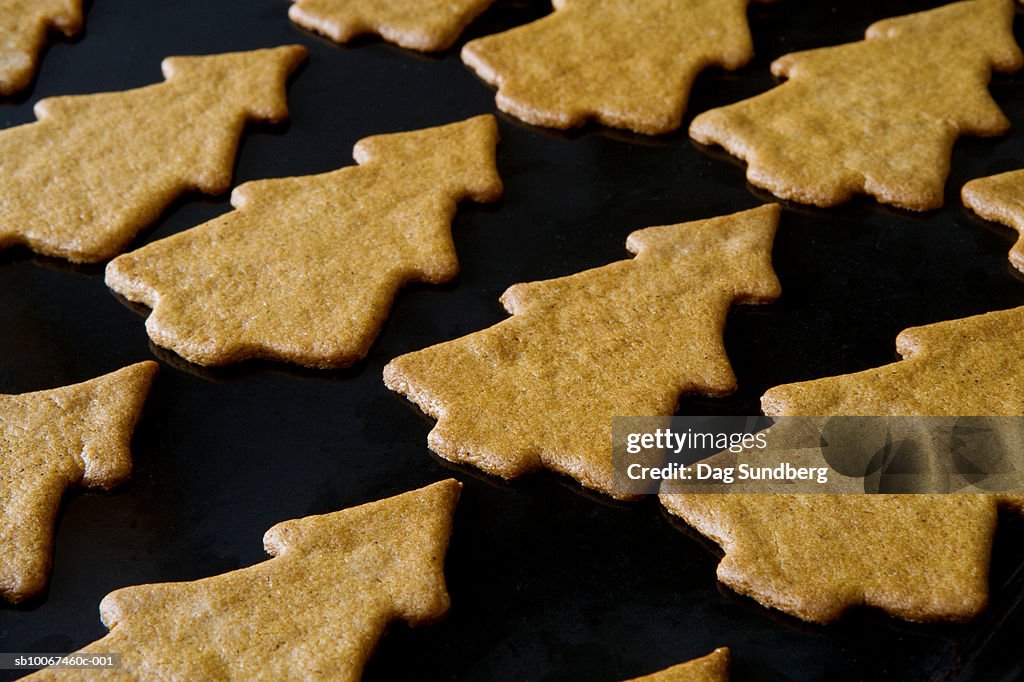 Cookies on baking sheet
