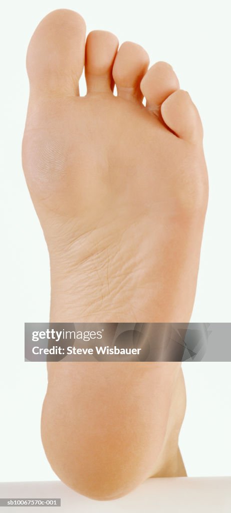 Human foot, view from below